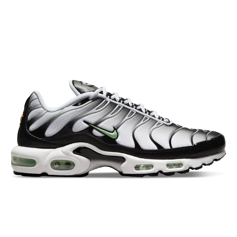 Air Max Plus TN 1 "Seafoam"
