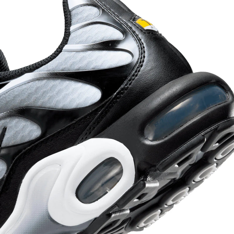 Air Max Plus TN 1 "Black Metallic"